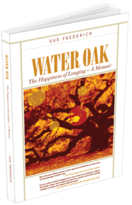 Water Oak: The happiness of longing